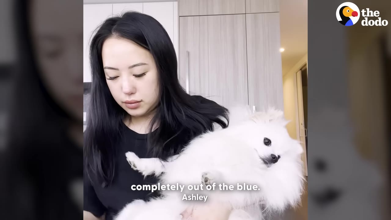 A woman with long black hair holds a fluffy white Pomeranian dog in her arms as she looks down with a concerned expression.