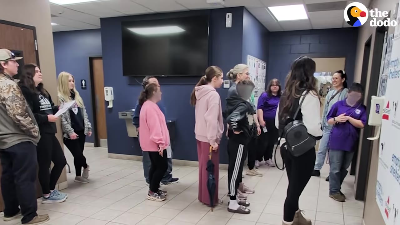 A group of people standing in a line inside a shelter lobby, waiting to help.