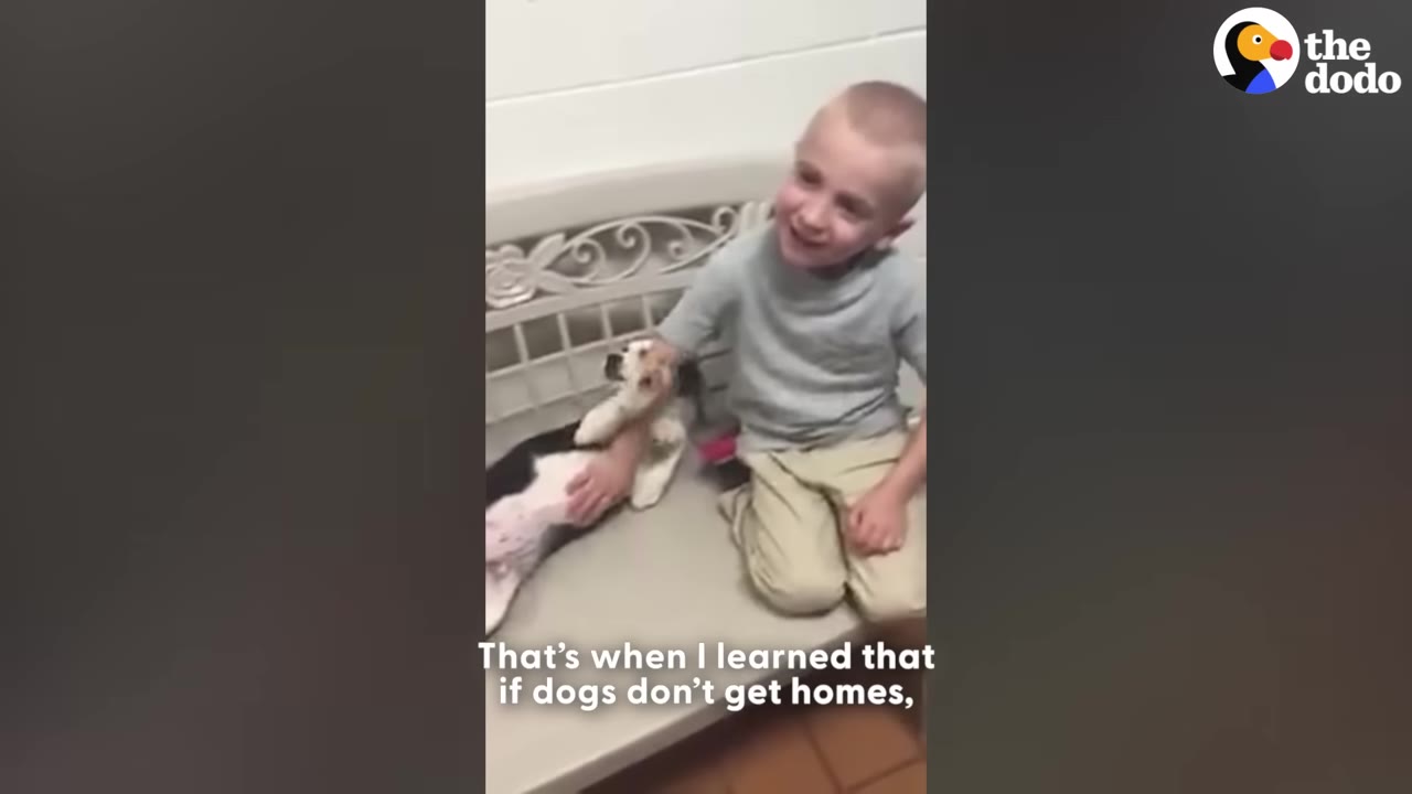 A young boy around four years old smiles while sitting on a bench and petting a small black and white dog.
