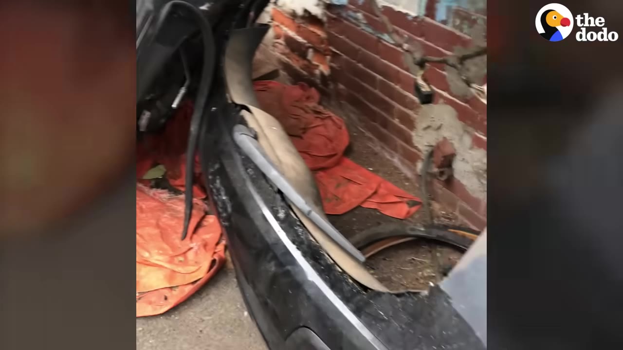 A narrow outdoor space between a brick wall and a black car bumper, containing orange tarps and debris.