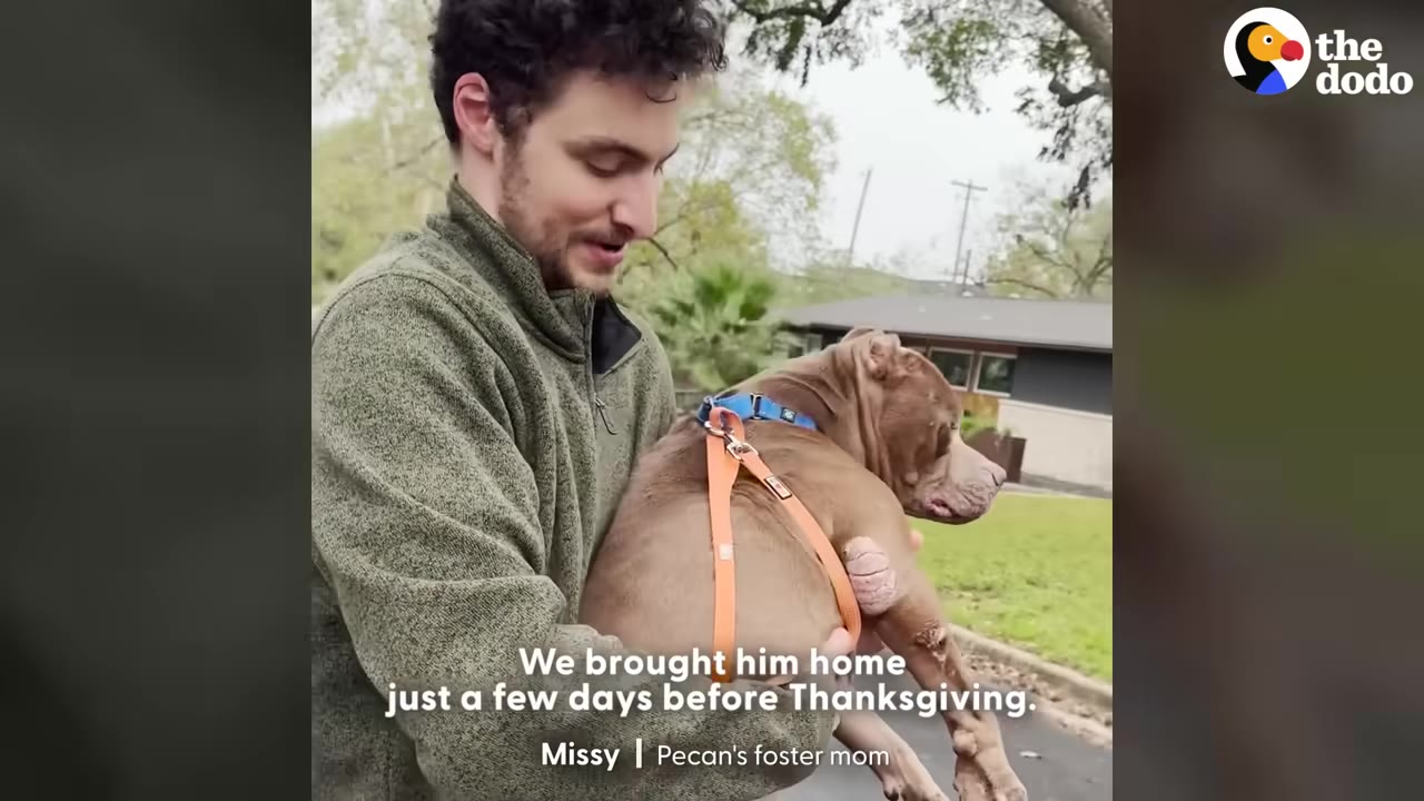 A man in a green fleece jacket holding a brown dog wearing an orange harness outdoors, with text overlay reading 'We brought him home just a few days before Thanksgiving.'
