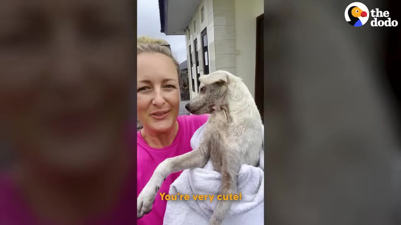 A smiling woman in a pink shirt holds a small, light-colored dog wrapped in a white towel.