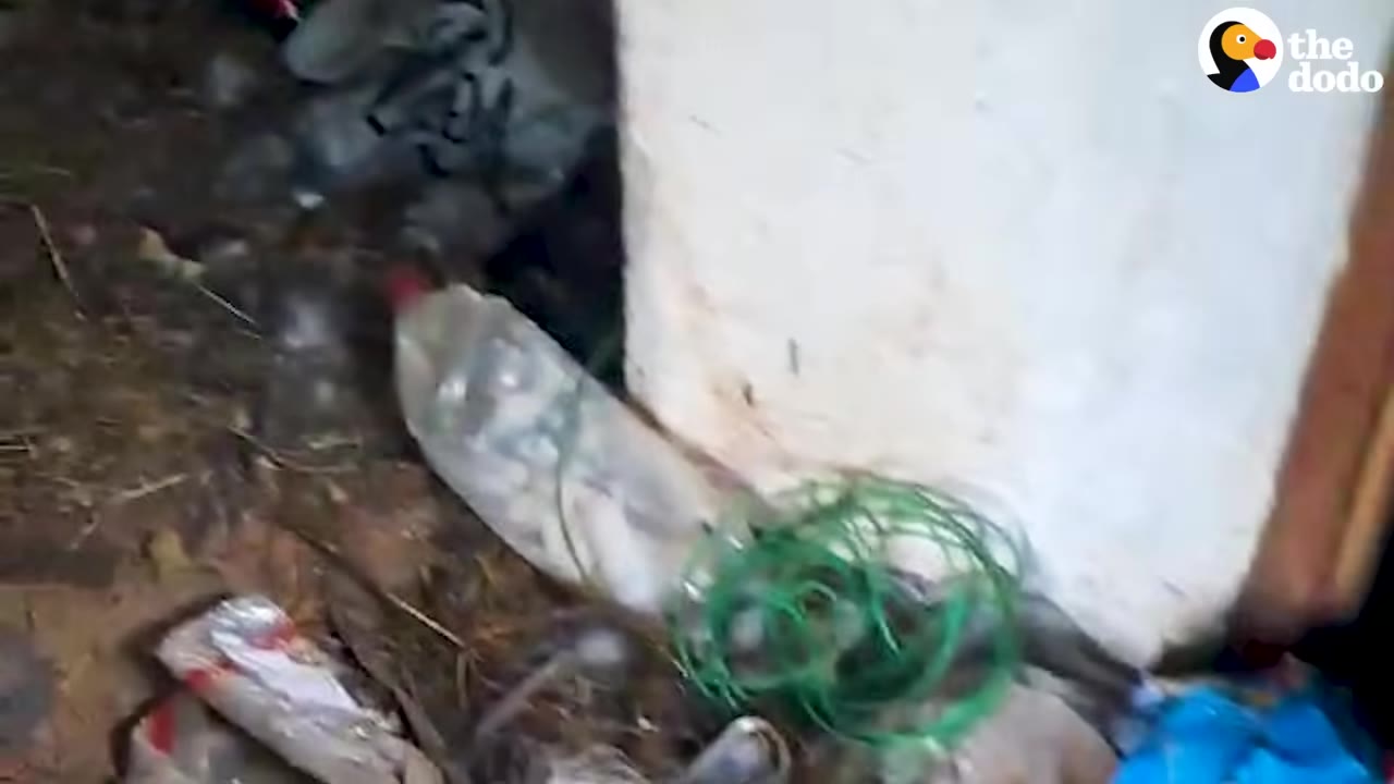 A cluttered outdoor corner next to a white wall, filled with debris, a plastic bottle, and coiled green wire.