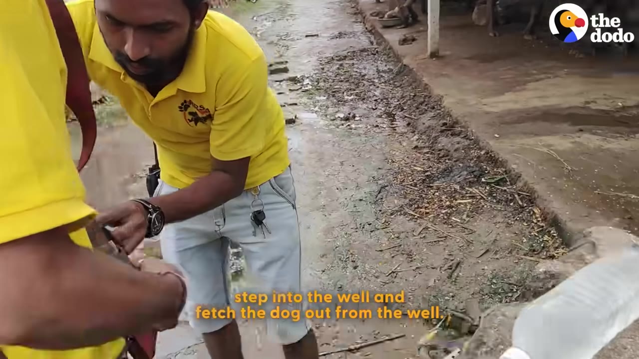 A man in a yellow shirt adjusts a harness strap on another person's waist as they prepare for a rescue.