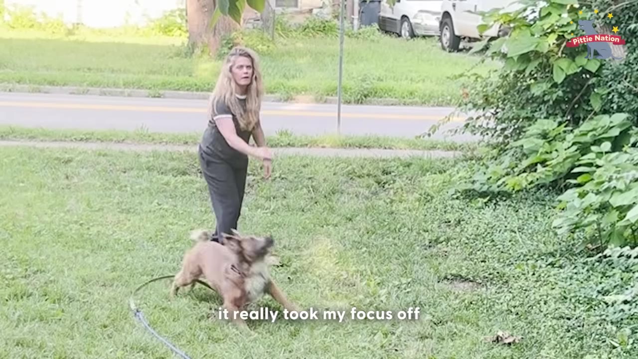 A woman with long blonde hair stands in a grassy yard, looking towards a fluffy brown dog that is playfully shaking its head near her feet.