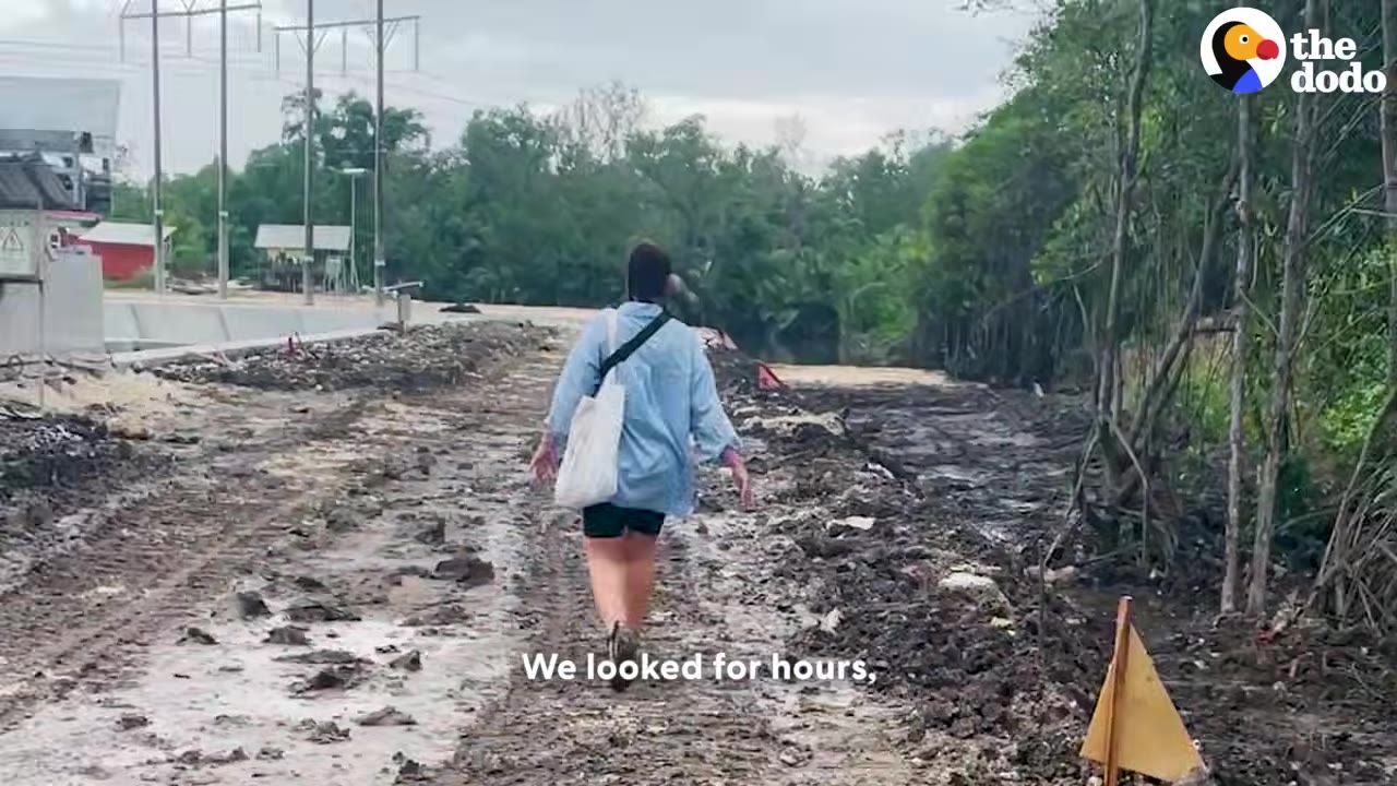 A person with a white shoulder bag walks away down a muddy, unpaved road lined with trees and construction elements, with the caption 'We looked for hours,'.