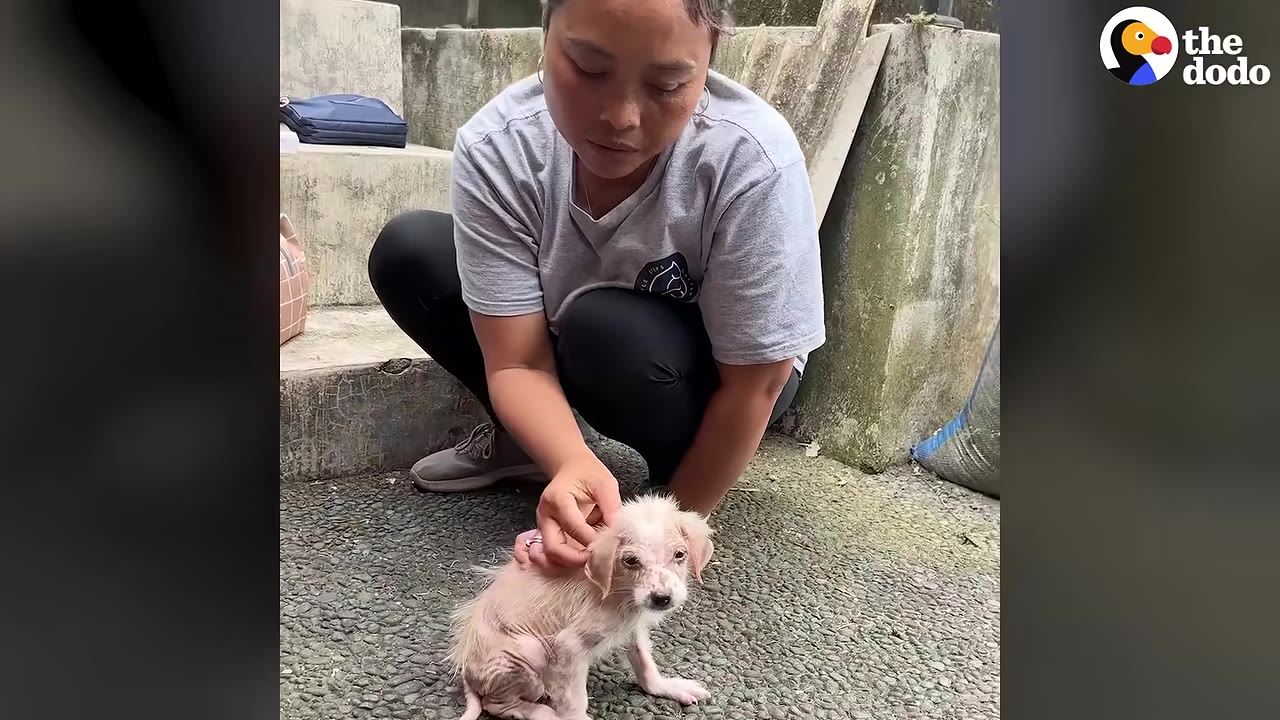 A woman crouches on a paved ground next to a small, scruffy, light-colored puppy, gently petting its head.