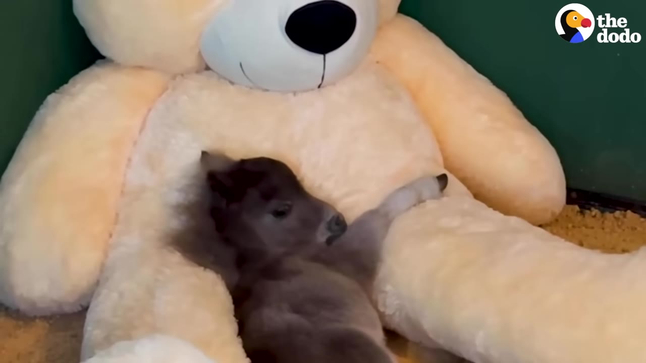 A small, dark brown foal snuggles comfortably in the lap of a giant, plush light-yellow teddy bear.