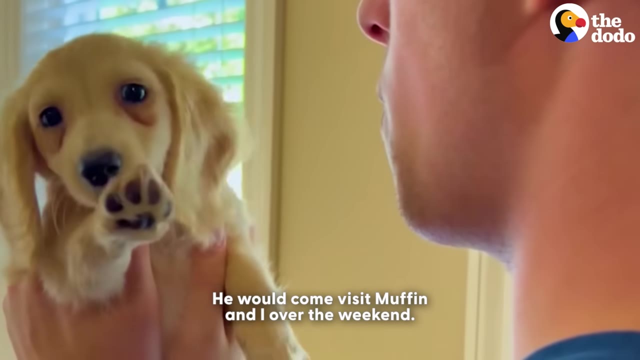 A close-up of a man's profile as he holds up a small, light-brown dachshund puppy who is raising its paw.
