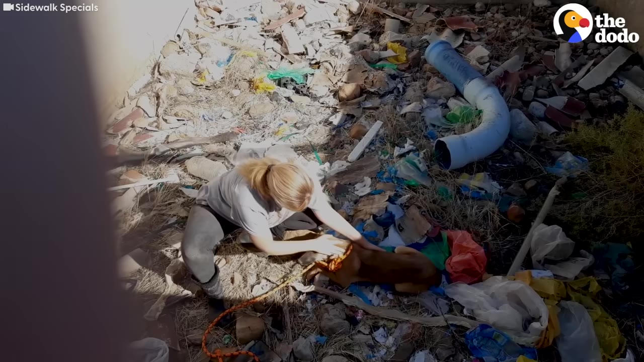 An overhead shot looking down into a deep, debris-filled pit where a blonde woman in a grey shirt is crouching down to comfort a small brown dog.