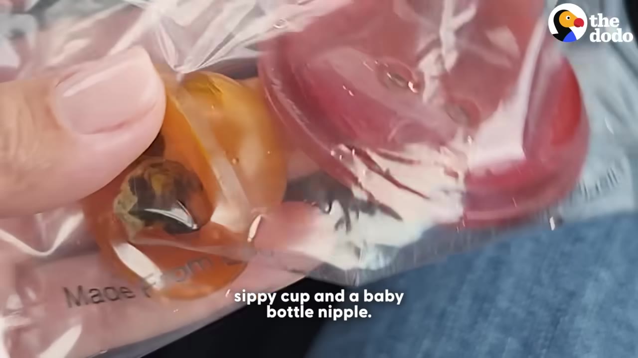 A close-up shot of a hand holding a clear plastic bag containing a red sippy cup lid and an orange baby bottle nipple.