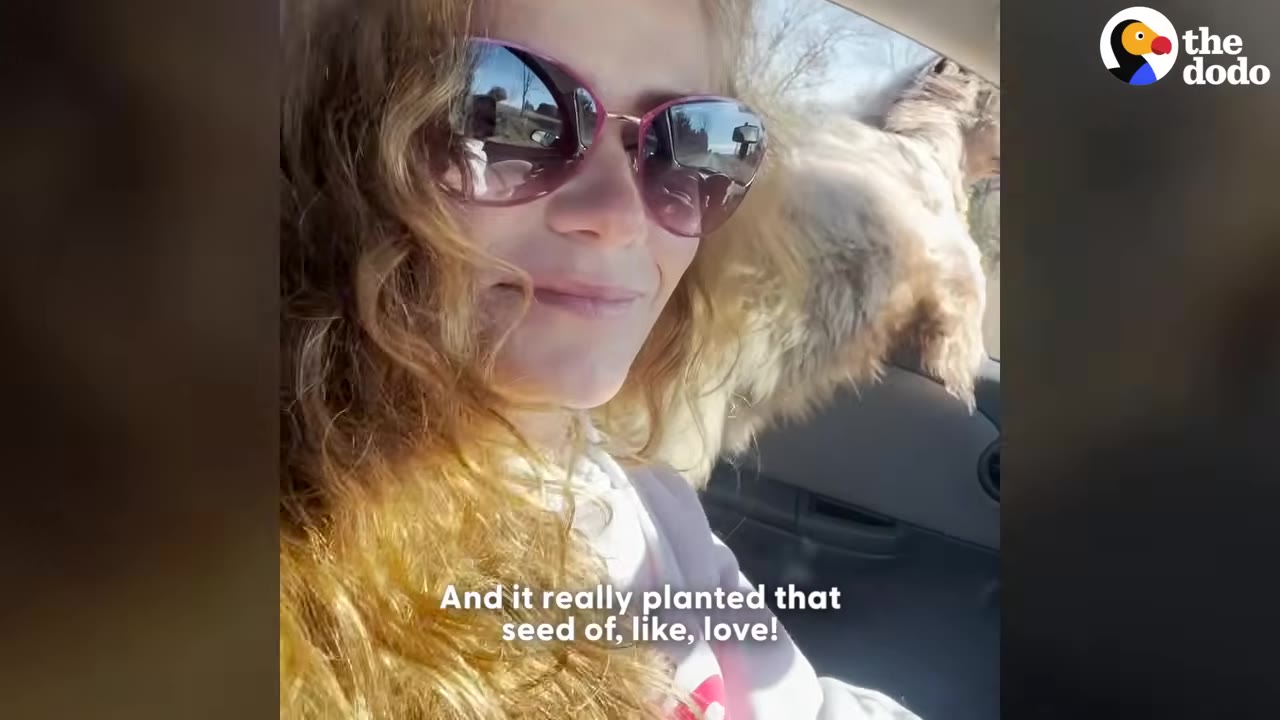 A smiling woman with long curly blonde hair and sunglasses sits in a car, with a fluffy dog looking out the window behind her.