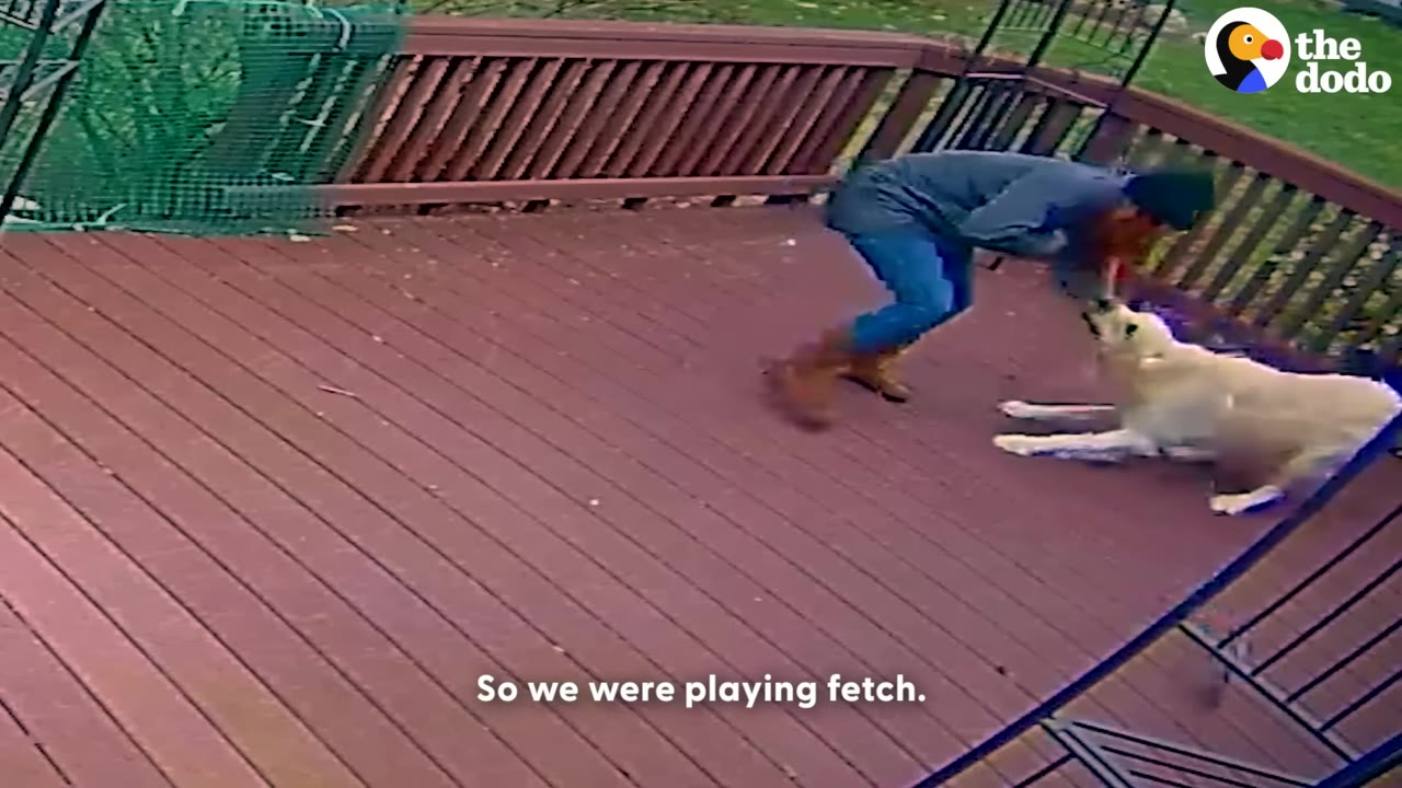 A person in a winter jacket and beanie plays with a large white dog on a wooden deck, with the subtitle 'So we were playing fetch' visible at the bottom.