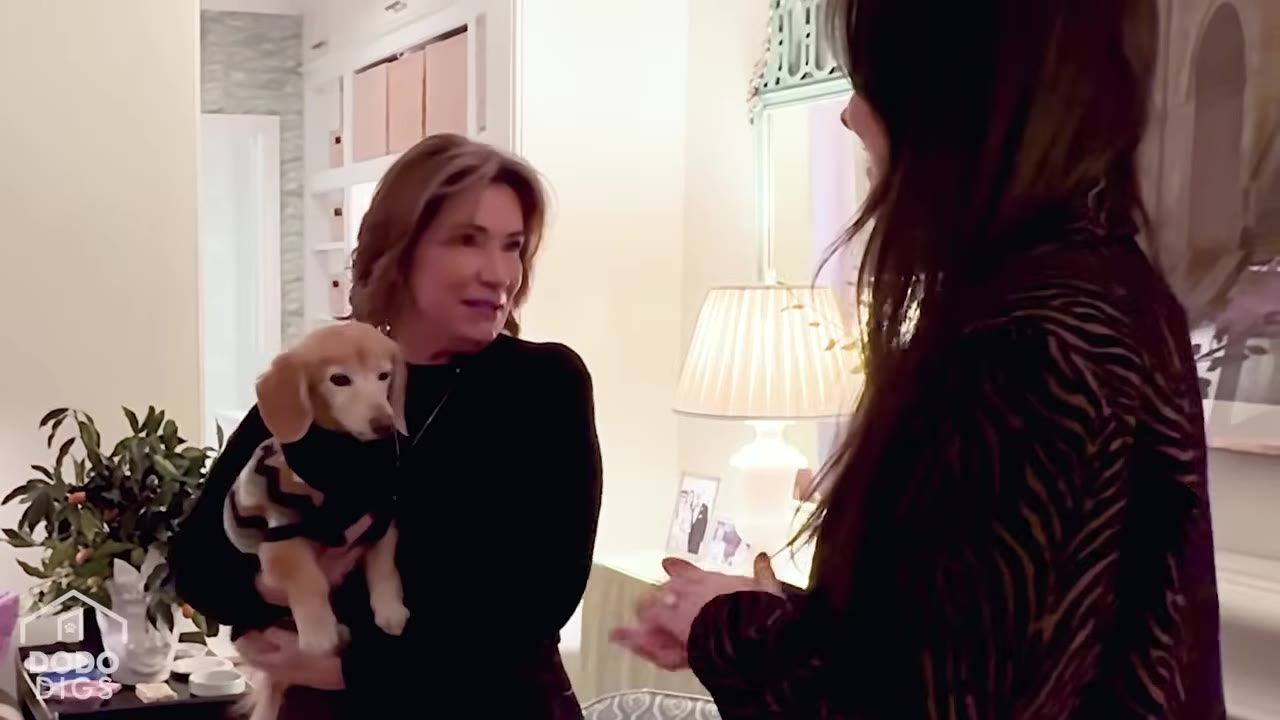 A woman in a black top holds a small light-brown dachshund wearing a patterned sweater while talking to another woman in a beautifully decorated room with a lamp and potted plant in the background.