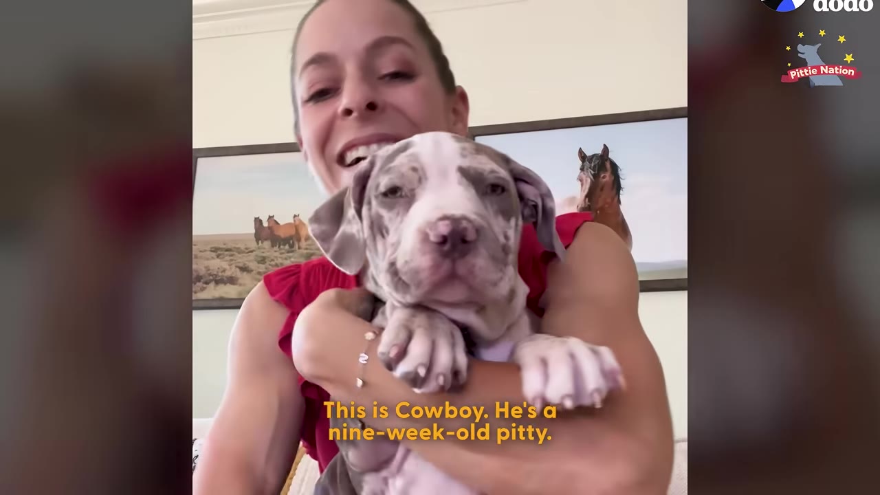 A smiling woman in a red top holds a grey and white spotted pit bull puppy named Cowboy close to the camera.