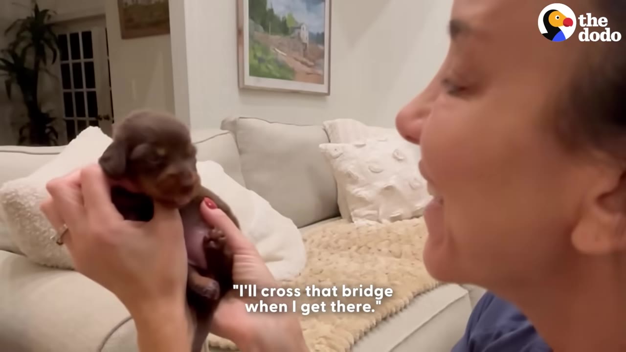 A woman smiles warmly as she holds a tiny brown puppy in her hands inside her living room.