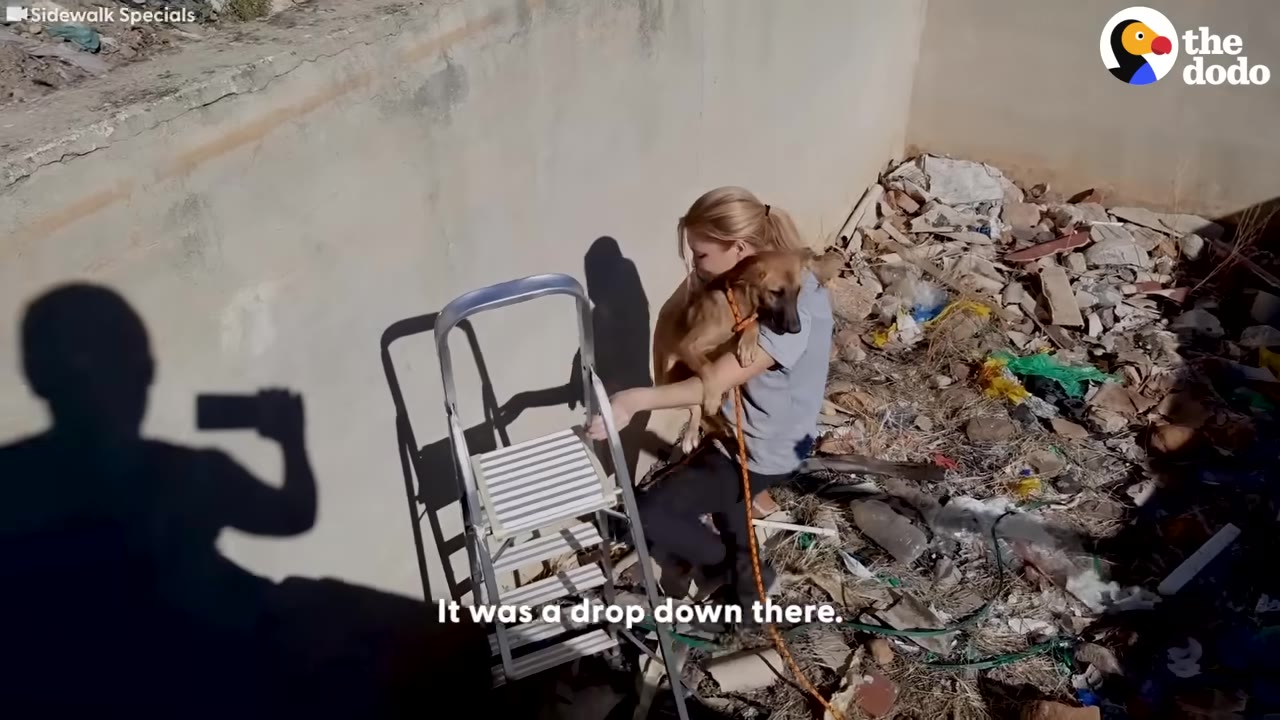 A woman stands at the bottom of a concrete pit filled with debris, holding a brown dog in her arms next to a metal stepladder.