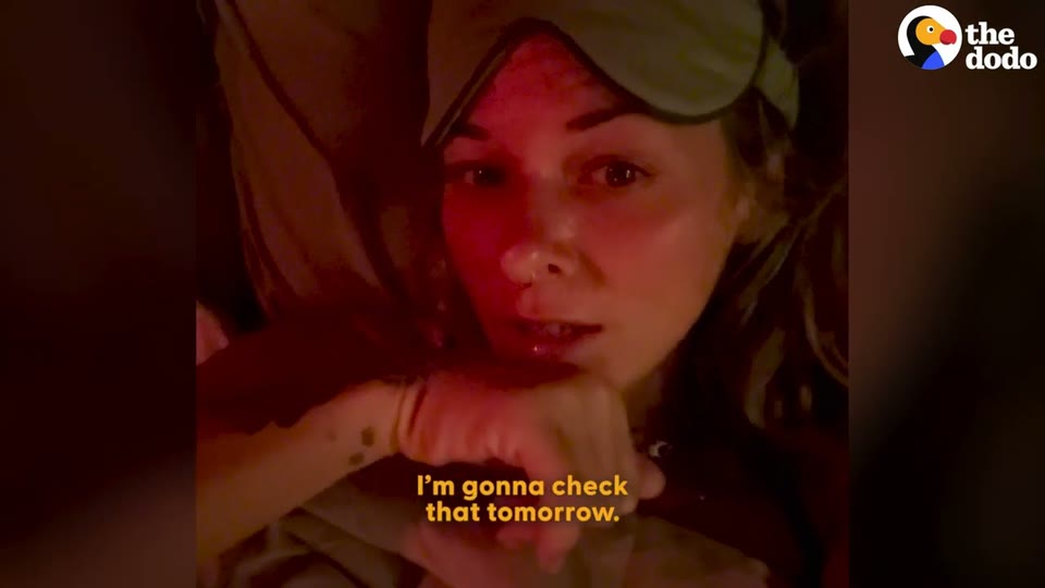 Video frame for Returning To The Scene