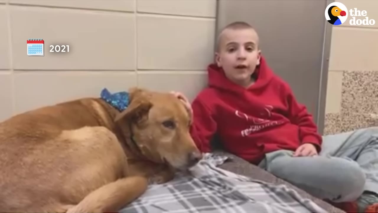 A boy wearing a red hoodie sits on a blanket next to a brown dog in a shelter kennel, looking towards the camera as if speaking.
