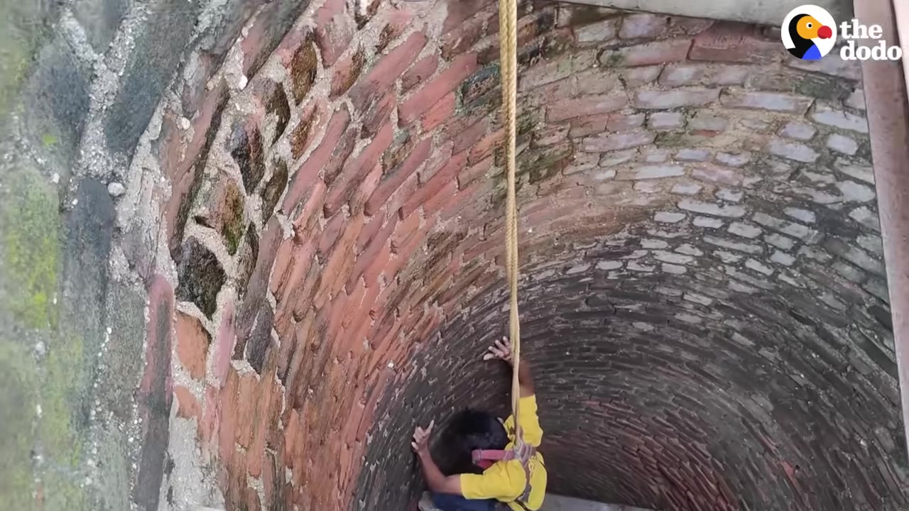 A high-angle shot looking down into a deep brick well as a person in a yellow shirt climbs down, holding onto a rope.