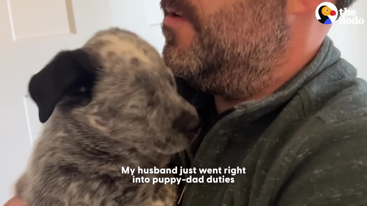 A close-up of a bearded man holding a speckled grey and black puppy close to his chest.