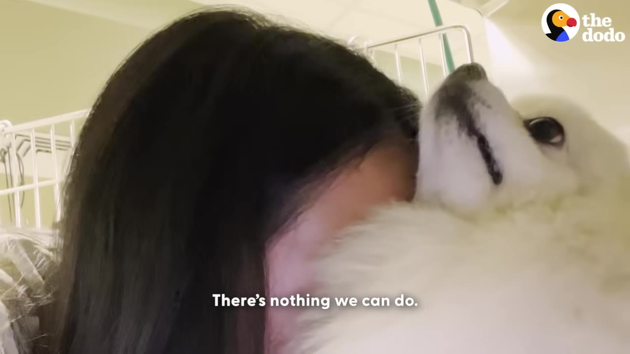 A close-up of a woman leaning her head against a white dog in a clinic setting, with the subtitle 'There's nothing we can do.'