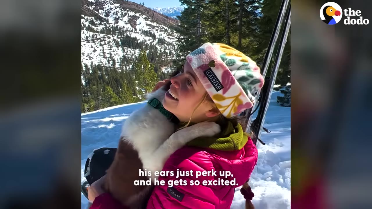 A brown and white puppy hugs a smiling woman wearing a pink jacket and a colorful beanie in a snowy mountain setting.