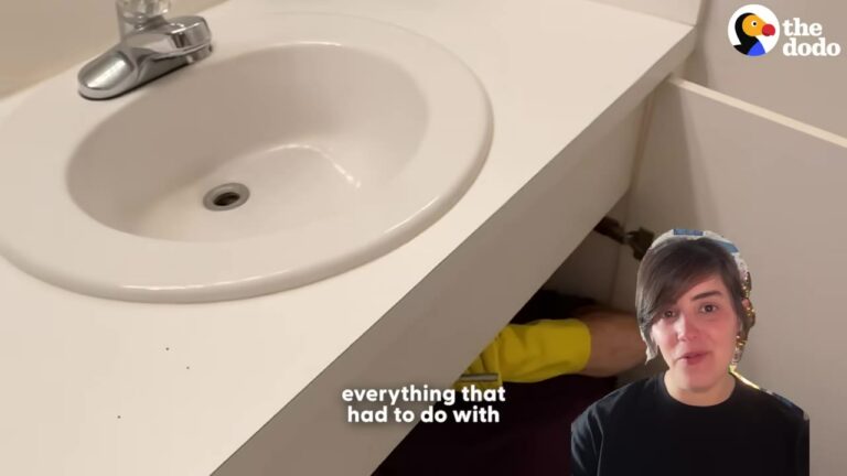Florida Couple Finds A Tiny Creature In Their Drain And Make A Decision That Changes Everything
