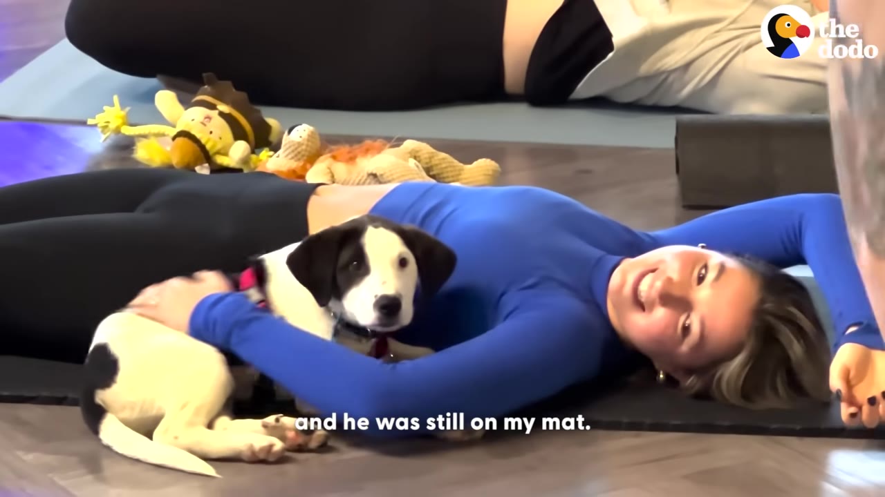 A woman in a blue long-sleeve shirt lies on a yoga mat, smiling at the camera while cuddling a black and white puppy resting on her chest.
