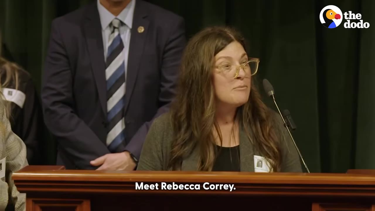 Rebecca Corry, wearing glasses and a grey blazer, speaking at a podium with a microphone.