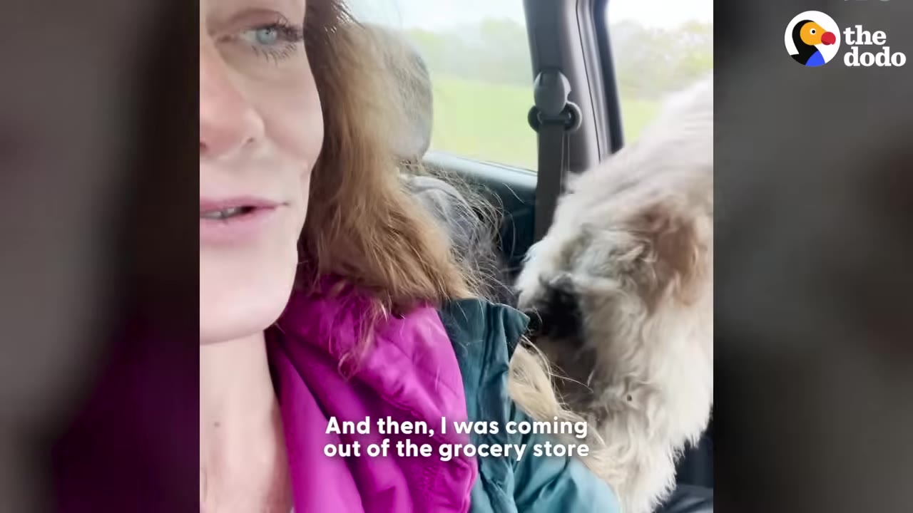 A close-up shot of a woman with long wavy hair sitting in a car next to a fluffy, light-colored dog.