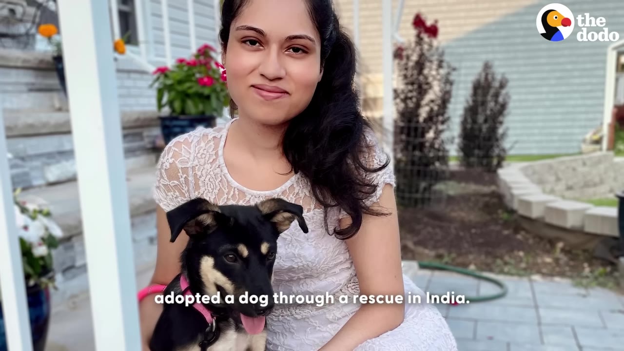 A woman in a white lace dress sits outside holding a black and tan puppy with a pink collar.