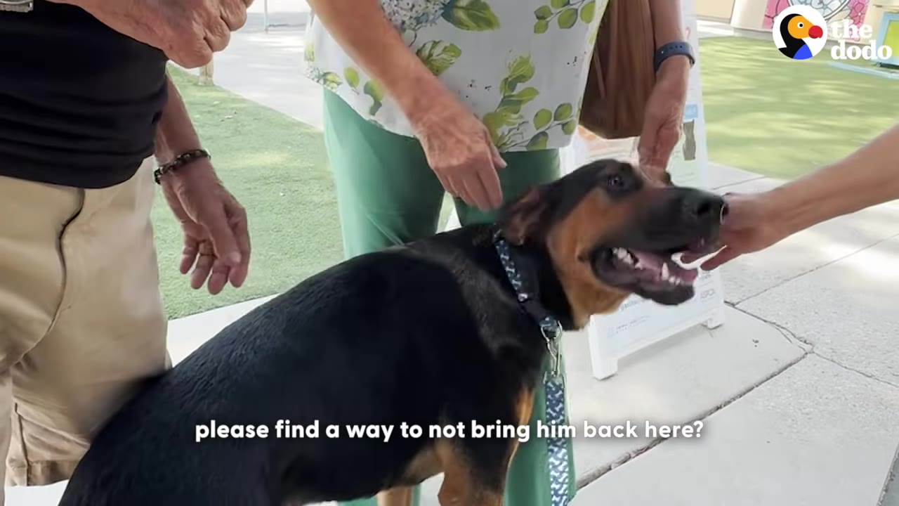 A black and tan dog looks up with its mouth open as hands gently pet its head and neck, with the subtitle 'please find a way to not bring him back here?' visible at the bottom.