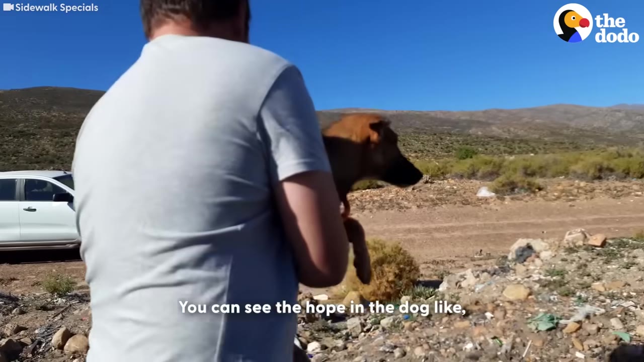 A man in a grey t-shirt holds a brown dog in his arms in a dry, open landscape with hills in the background.