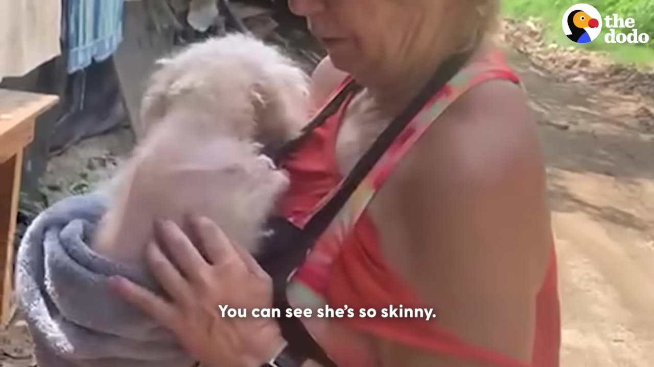 A woman holds a small, thin, light-colored dog wrapped in a grey towel, showing the dog's bony back.
