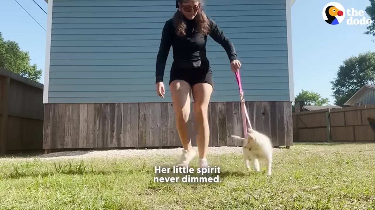A woman in black athletic wear walks a small white puppy on a pink leash across a grassy yard in front of a blue house.
