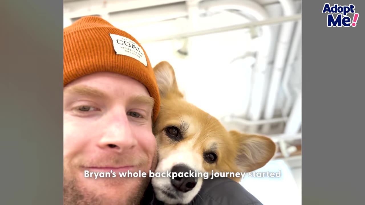 A close-up selfie of a smiling man wearing an orange beanie next to a corgi dog.