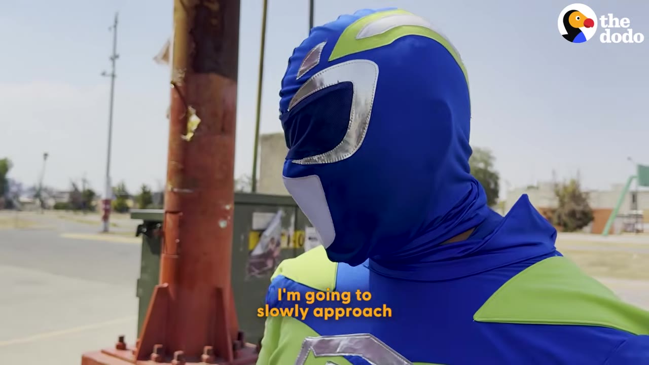 A person wearing a blue and green superhero mask looks to the side with the subtitle 'I'm going to slowly approach' on screen.