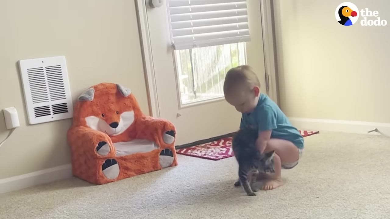 A young toddler in a blue shirt crouches down on a carpeted floor, gently holding a small dark tabby kitten.