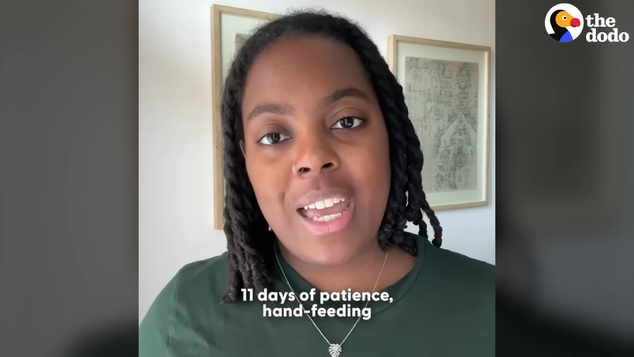 A woman with braided hair wearing a green shirt speaks directly to the camera, with a text overlay that reads '11 days of patience, hand-feeding'.