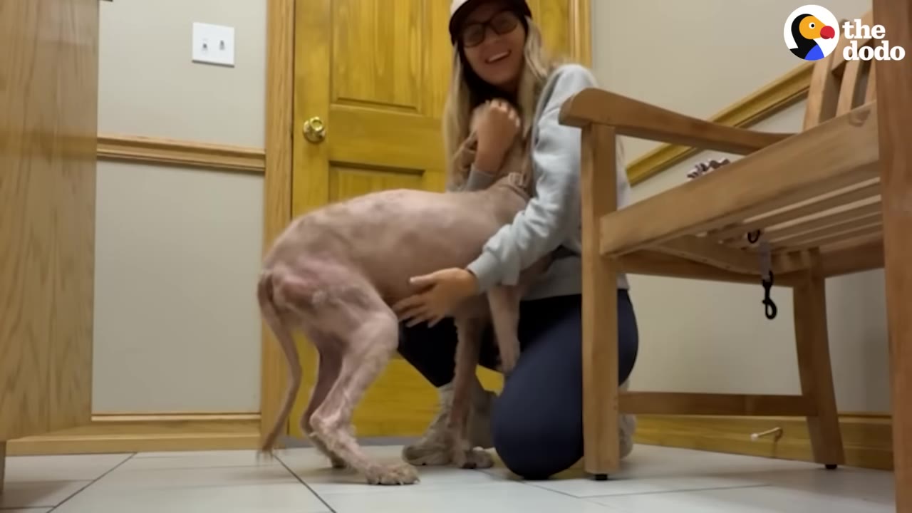 A woman wearing a cap and glasses kneels on a tiled floor to hug a thin, mostly hairless dog in a waiting room.