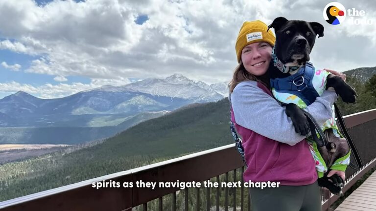 Ohio Dog Found Tied Up In The Freezing Cold Goes On The Adventure Of A Lifetime After A Shocking Diagnosis