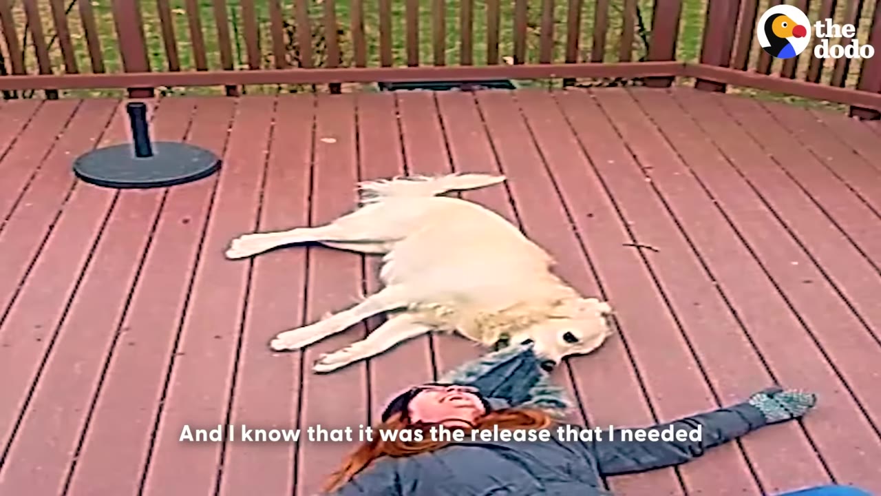 A woman lies flat on her back on a wooden deck while a golden-colored dog lies next to her head, holding onto the hood of her jacket with its mouth.