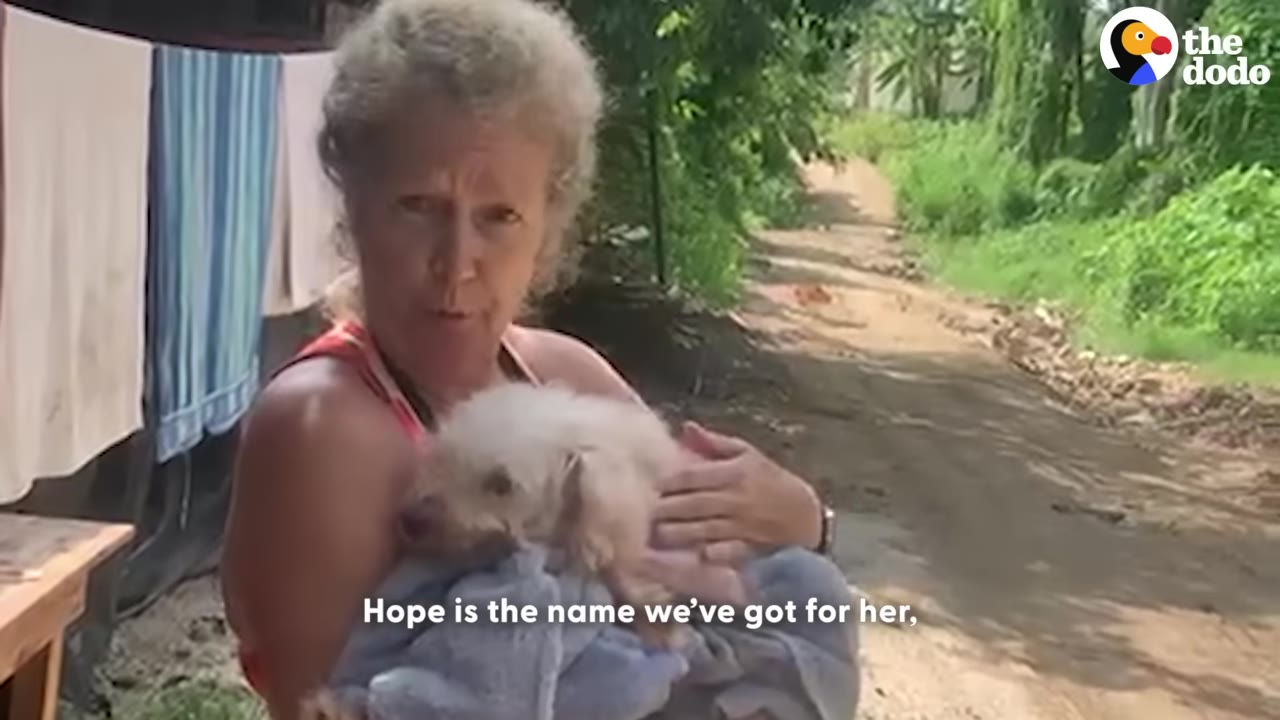 A woman with curly grey hair holds a small, fluffy white dog wrapped in a blue towel while standing on a dirt road.