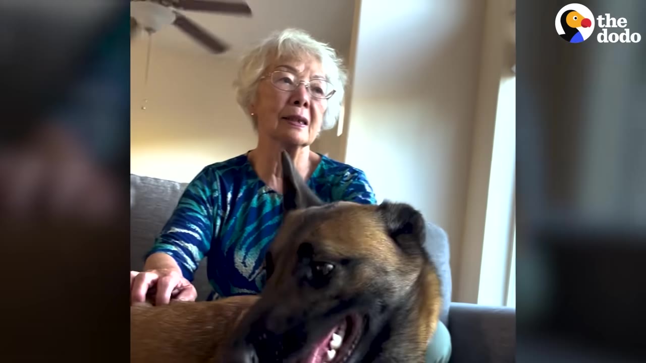 An elderly woman with short white hair and glasses sits on a couch next to a brown dog, looking down at it affectionately.