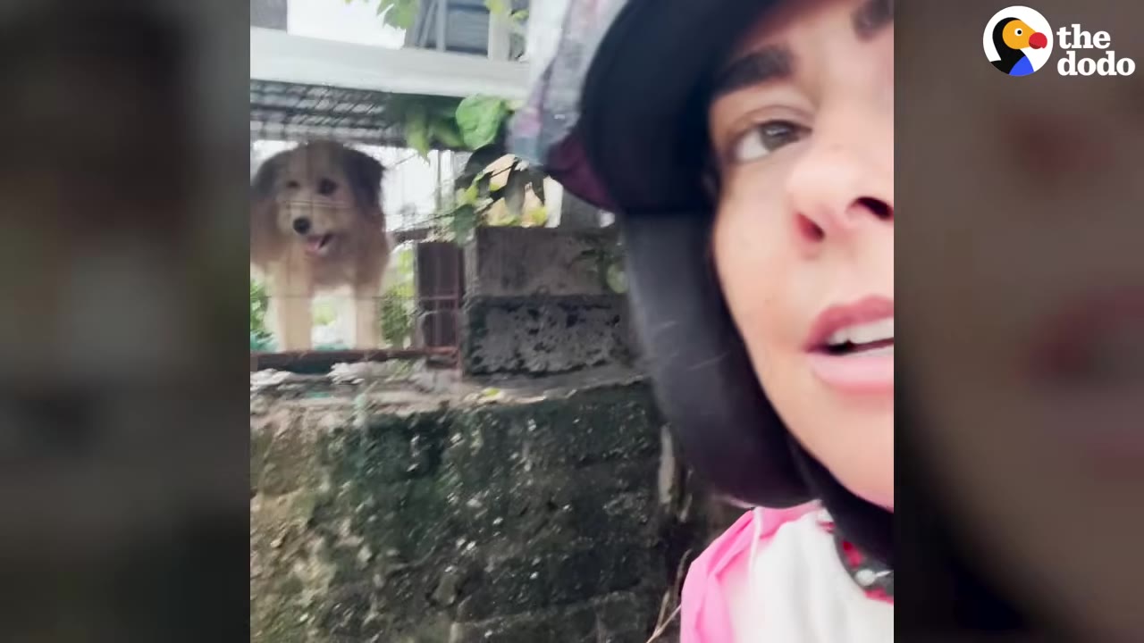 A close-up selfie of a woman wearing a helmet, with a fluffy brown dog visible behind her inside a wire cage.