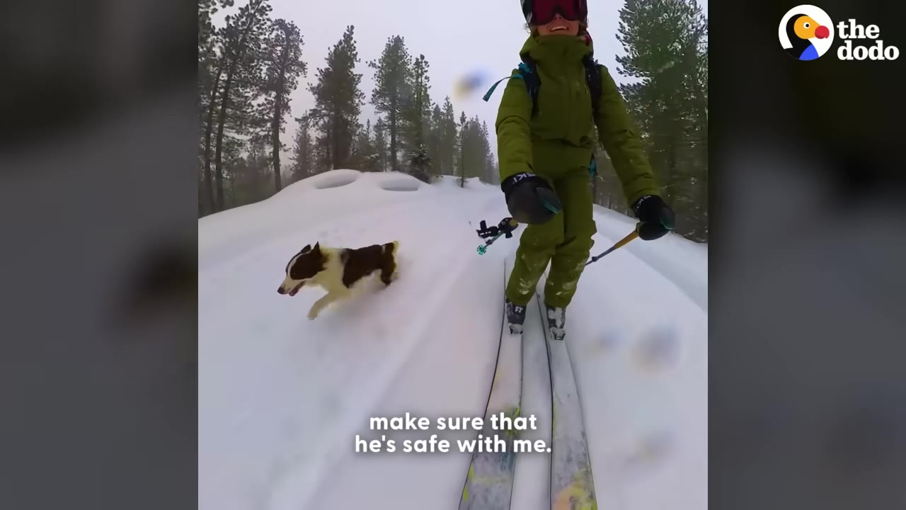 A skier in a green snowsuit and helmet smiles while skiing down a snowy slope next to a black and white dog running in the snow.