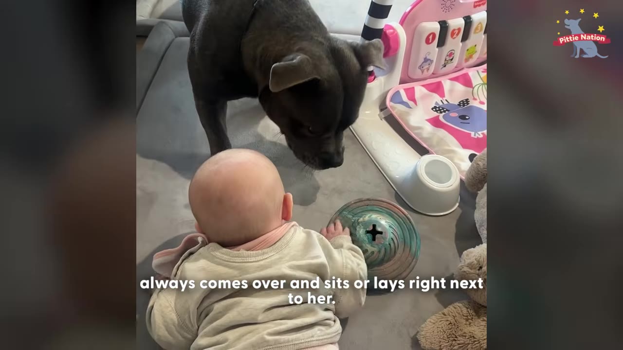 A grey dog stands on a play mat, looking down gently at a baby lying on her tummy.