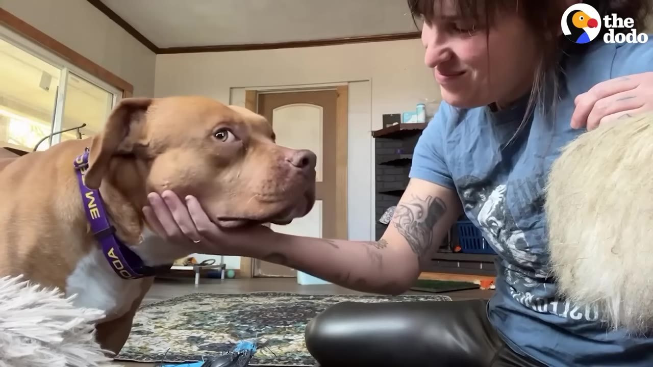 A woman with a tattoo on her arm gently cradles the chin of a brown pit bull dog as they look at each other.