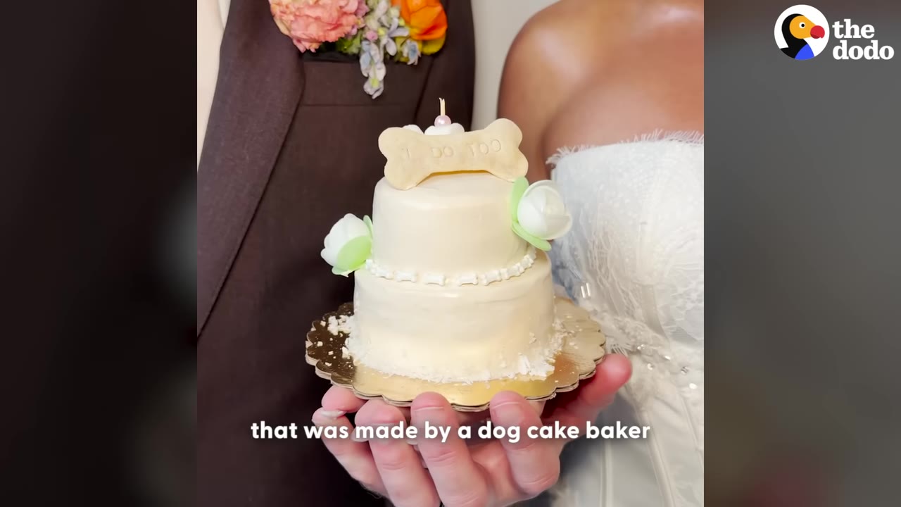 A close-up of a small, two-tiered white dog cake with a bone-shaped topper that reads 'I DO TOO', held by a bride and groom.